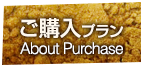ご購入プラン / About Purchase